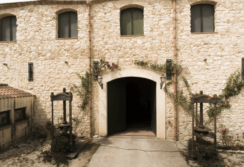 Tenuta Sallier De La Tour - VIP Wine Tours Italy - Sicily