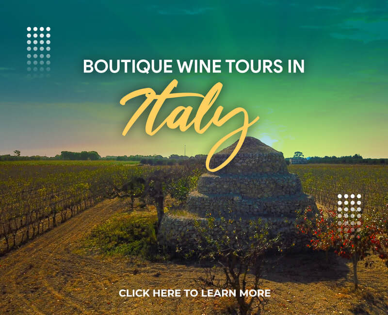 Boutique Wine Tours in Italy