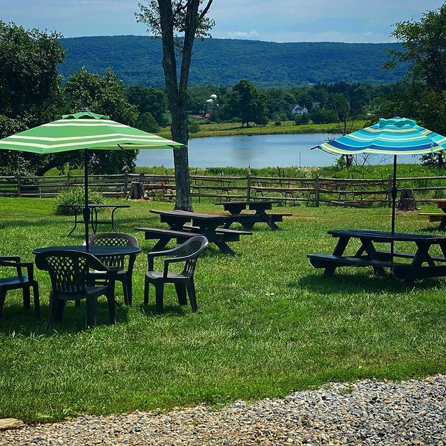 Hudson valley wine tours_ Hudson Valley Vineyard tours_ Hudson valley_ wine taste_ winery tour_ Hudson valley tours_ local winery tours_ local vineyard tours_ Applewoodwine_Applewood Winery_Naked Flock Cider 11.png