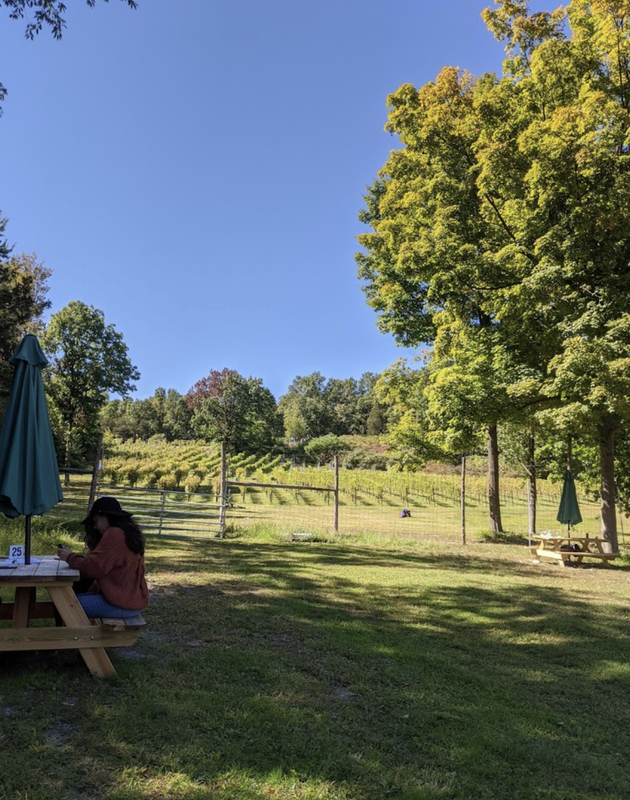  Hudson valley wine tours_ Hudson Valley Vineyard tours_ Hudson valley_ wine taste_ winery tour_ Hudson valley tours_ local winery tours_ local vineyard tours_Clearview Vineyard_Clearview Winery_wine tours near me_1.png