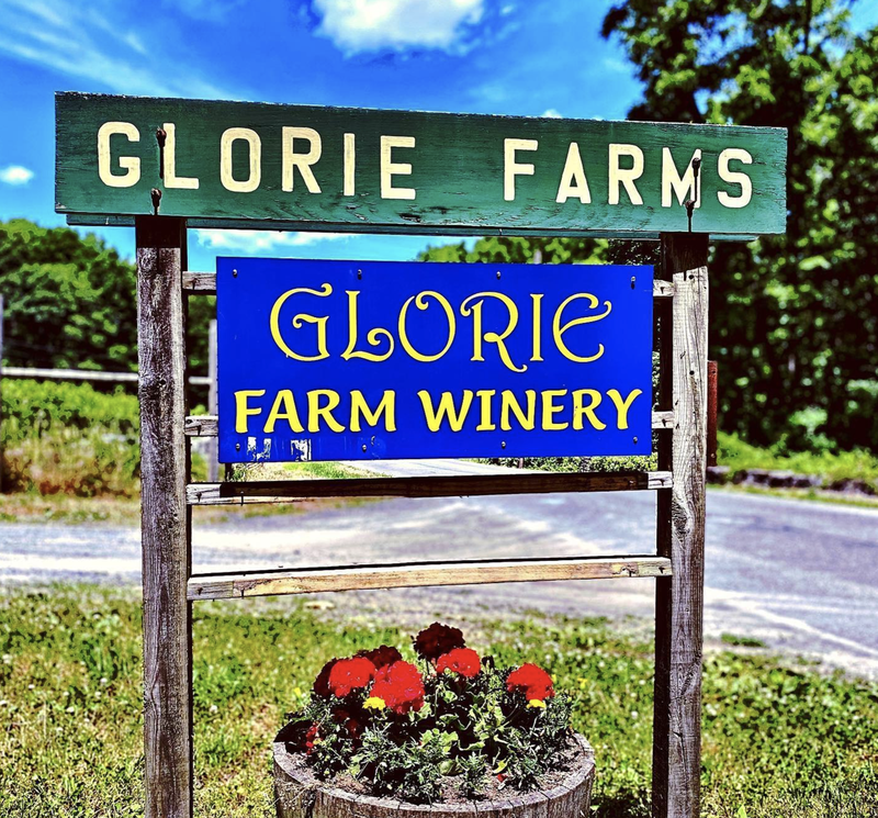  Hudson valley wine tours_ Hudson Valley Vineyard tours_ Hudson valley_ wine taste_ winery tour_ Hudson valley tours_ local winery tours_ local vineyard tours_Glorie Farm Vineyard_Glorie Farm Winery_wine tours near me_1.png