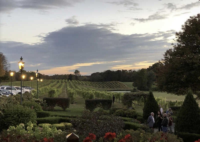 Hudson valley wine tours_ Hudson Valley Vineyard tours_ Hudson valley_ wine taste_ winery tour_ Hudson valley tours_ local winery tours_ local vineyard tours_ Magnani vineyard winery_Magnanini Restaurant_Magnanini Distillery 1.png