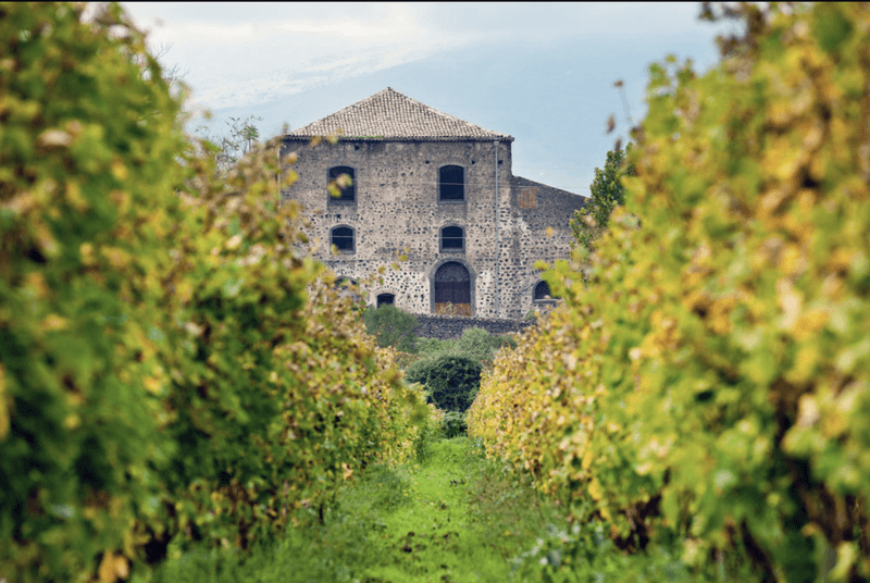 Graci - VIP Wine Tours Italy - Sicily