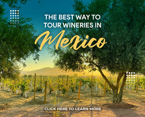 Best Mexico Wine Tours