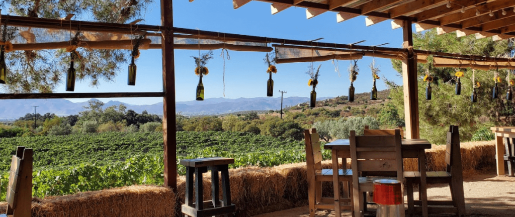 Outdoor dining area at Deckman's en el Mogor, with views of the vineyard and surrounding hills. Valle de Guadalupe Mexico Tour.