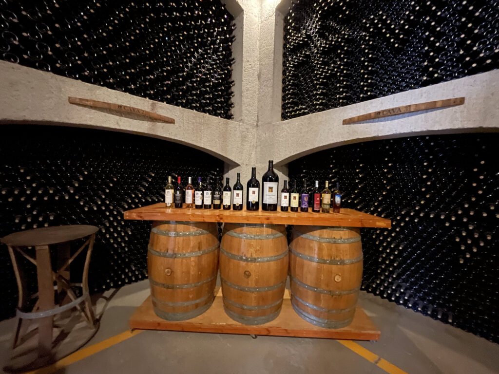 Wine cellar, bottles, barrels, Valle de Guadalupe Mexico Tour.