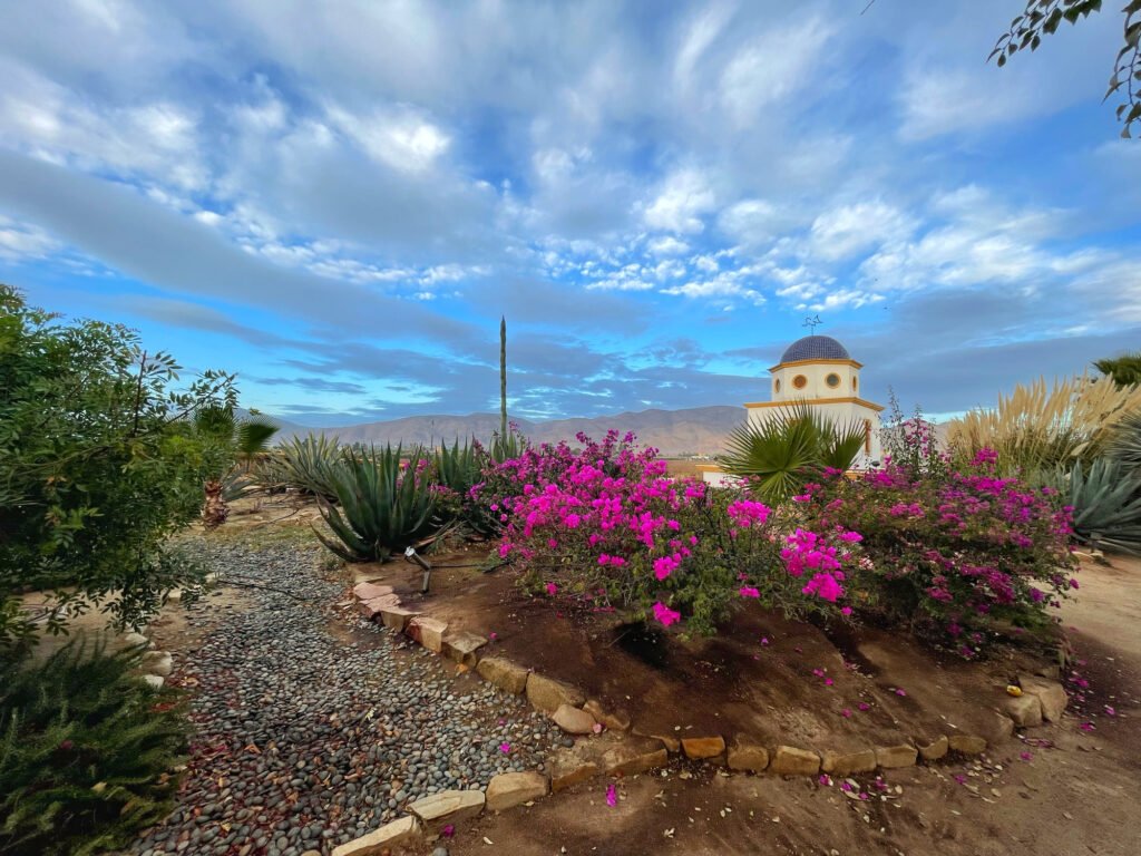 Sunrise at Adobe Guadalupe, garden, Valle de Guadalupe Mexico Tour.