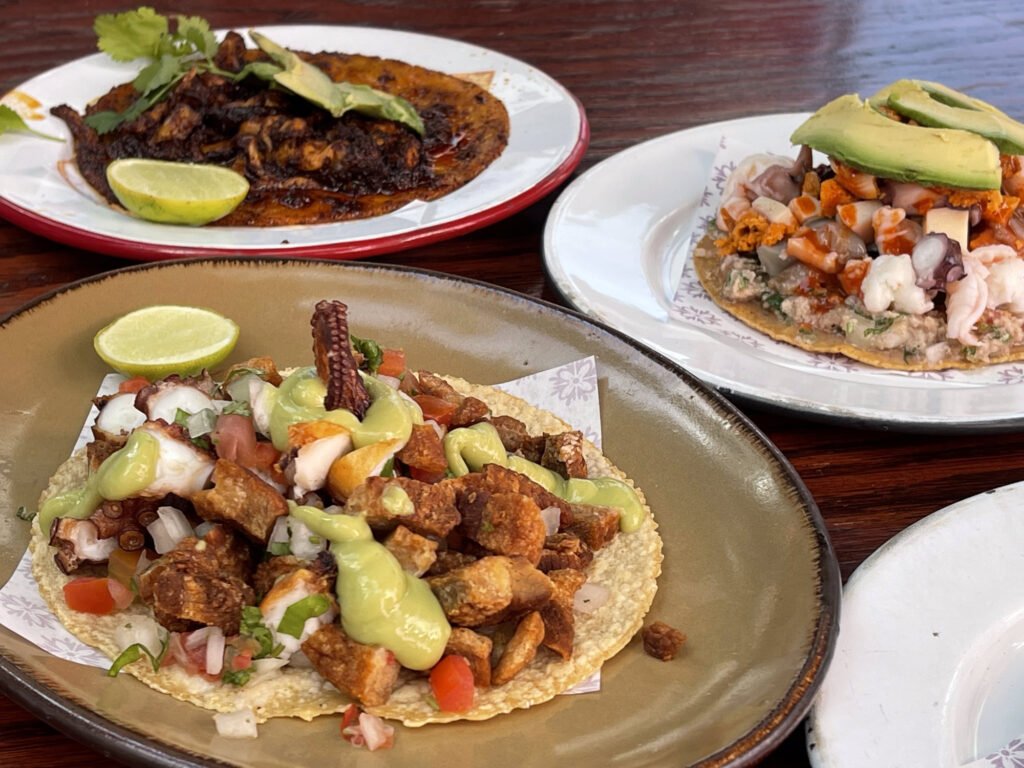 Tacos, Mexican cuisine, Valle de Guadalupe Mexico Tour.
