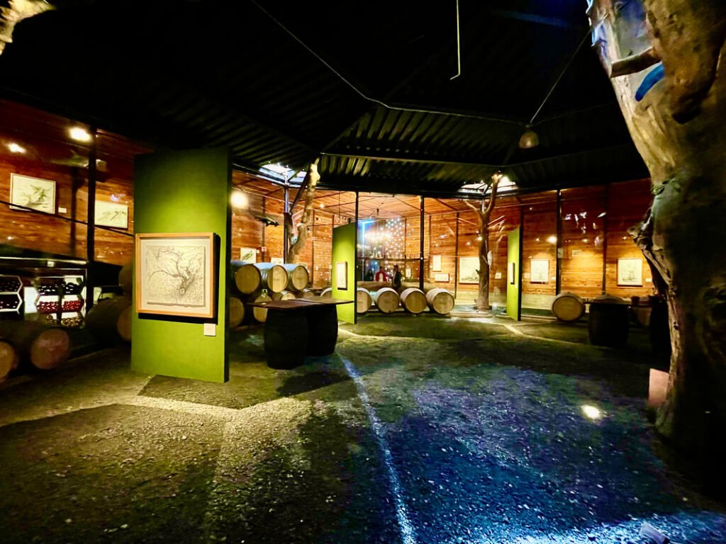 Rustic wine cellar with barrels, wine bottles, maps, and trees. Mexico wine tours.