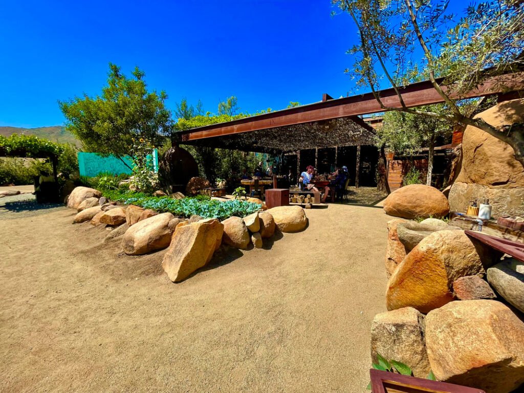 Outdoor seating area with garden bed surrounded by large rocks, wooden structure, and canopy shading tables. Mexico wine tours.