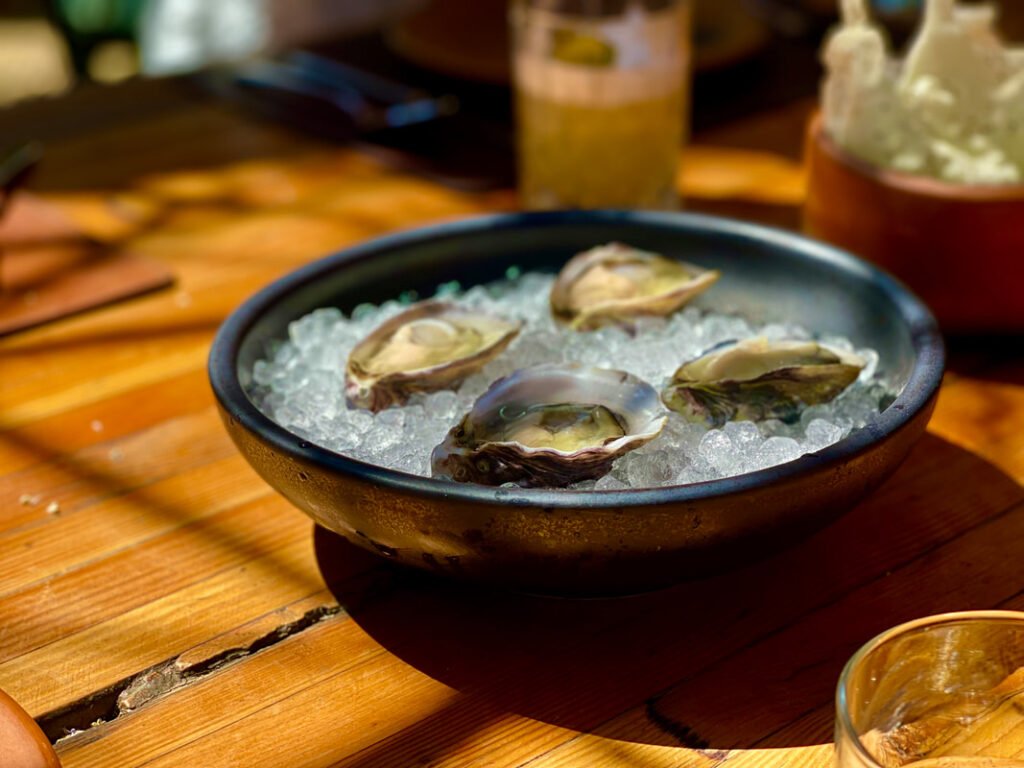 Black bowl containing four opened oysters on a bed of crushed ice, placed on a wooden table with other items in the background, including a glass with a drink and a container. Mexico wine tours.