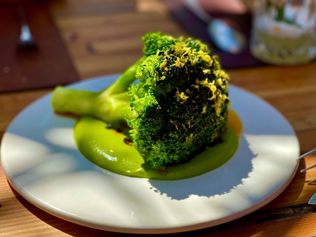 A piece of broccoli served on a white plate with green sauce, grated cheese garnish. Wooden table setting. Mexico wine tours.