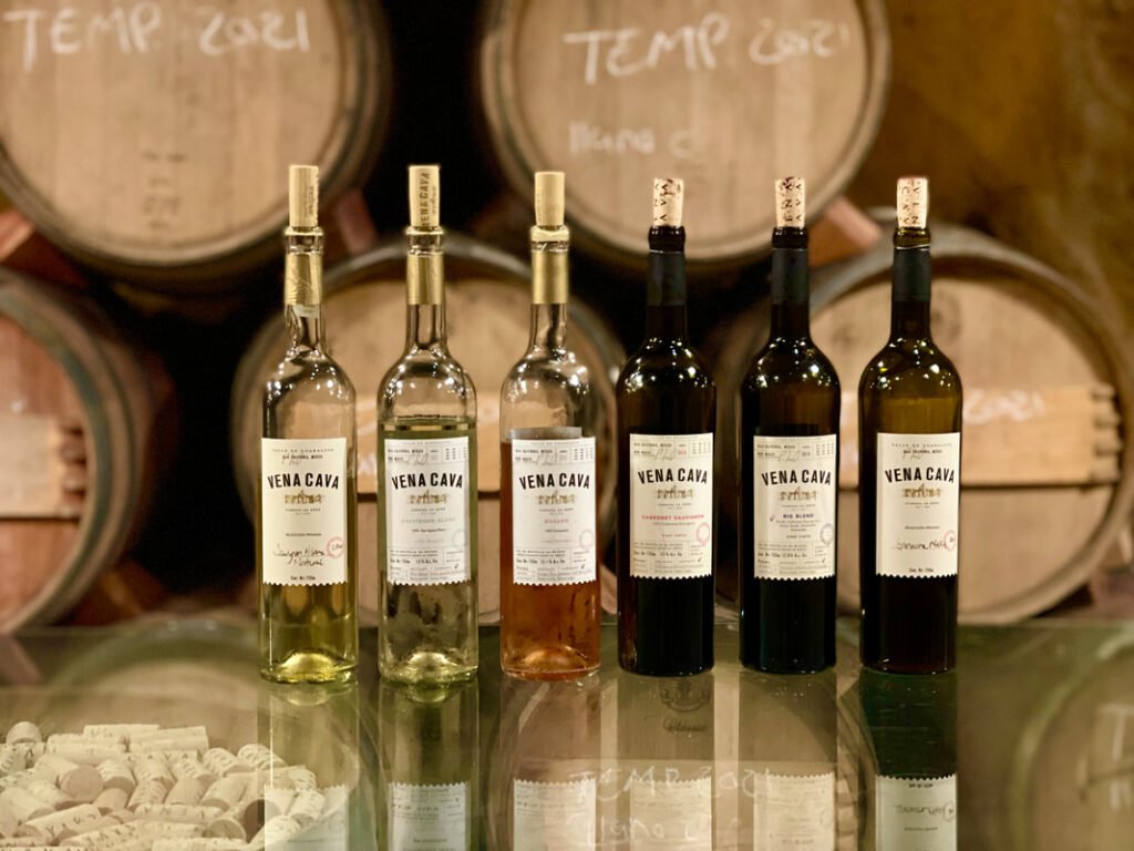 A selection of six Vena Cava wine bottles displayed in front of wooden wine barrels, showcasing the diverse offerings of Mexico wine tours.