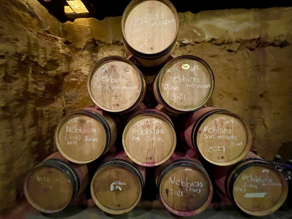 A pyramid of wine barrels, each meticulously labeled with handwritten text detailing the type of wine, winemaker's name, and year of production, represents the meticulous craftsmanship of Mexico wine tours.