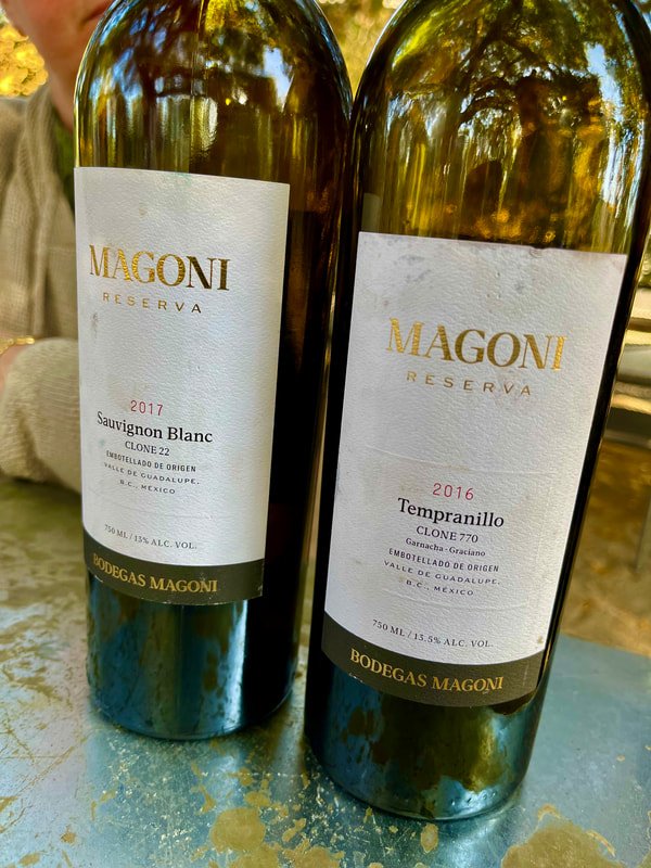 Two bottles of wine from Bodegas Magoni. The left bottle is a 2017 Sauvignon Blanc, and the right bottle is a 2016 Tempranillo. Mexico wine tours.