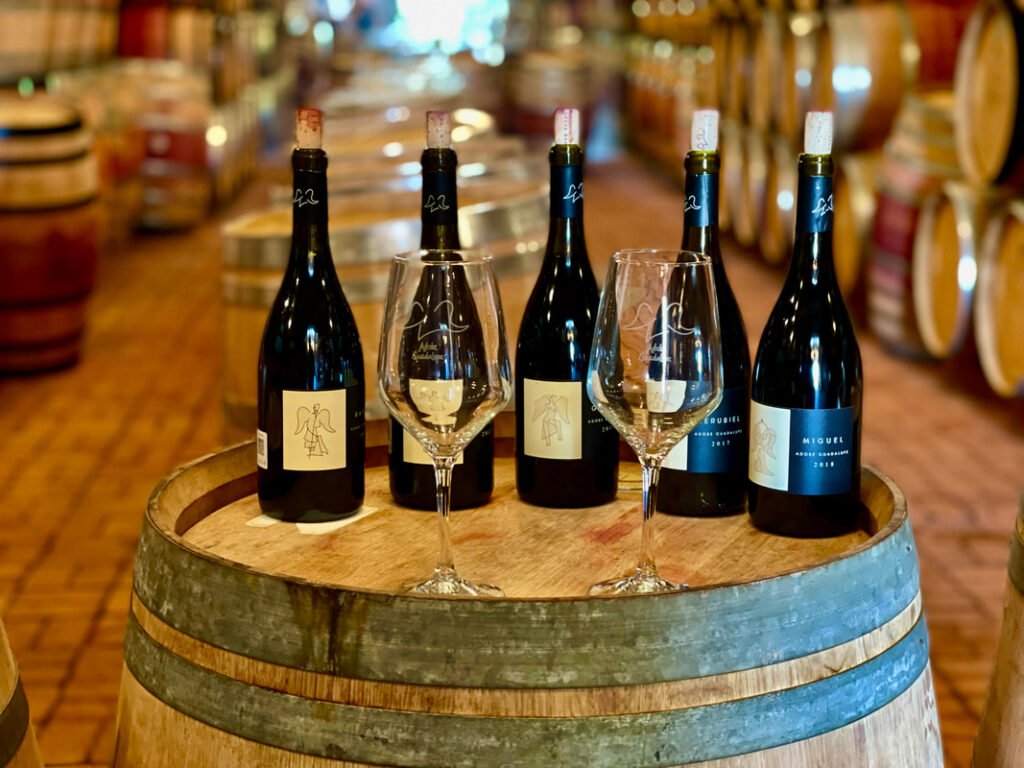 Five wine bottles and two glasses on a wooden barrel in a wine cellar. Mexico wine tours.