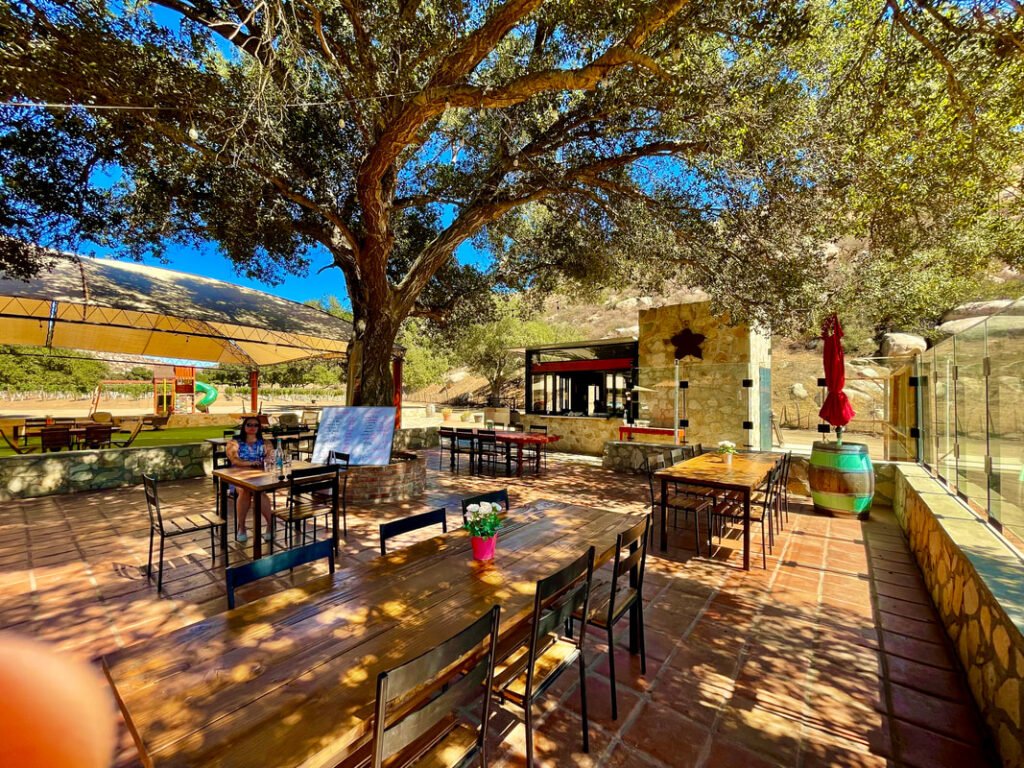 Outdoor dining area with tables and chairs under a large tree, playground in the background, and rustic ambiance.
