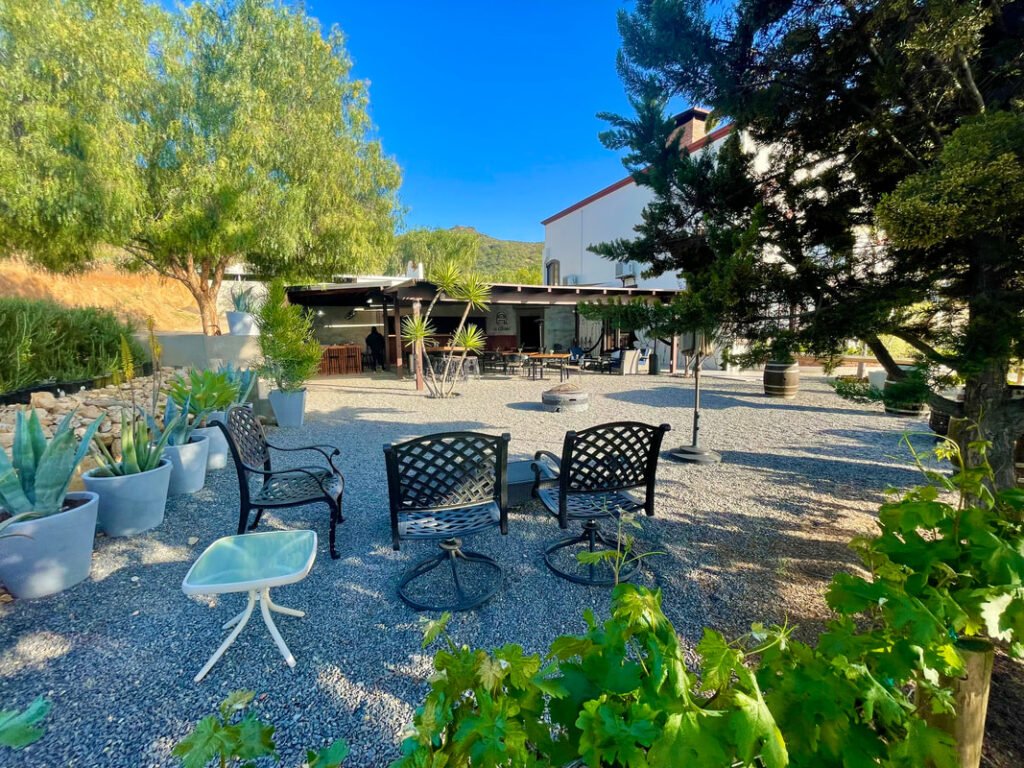 An inviting outdoor seating area with black metal chairs around a central fire pit, surrounded by large potted plants and greenery, embodies the relaxing atmosphere of Mexico wine tours.
