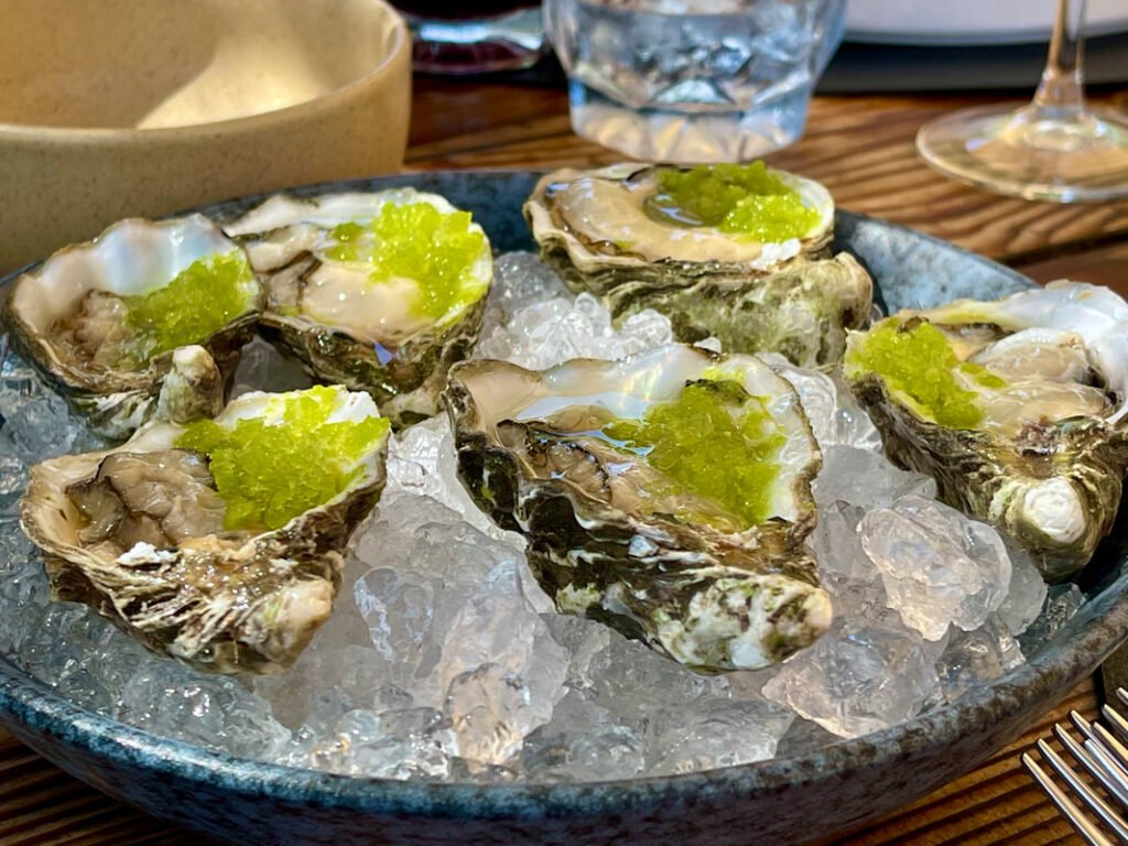 A delectable plate of fresh oysters on ice with green garnish, capturing the gourmet seafood experience during Mexico wine tours.