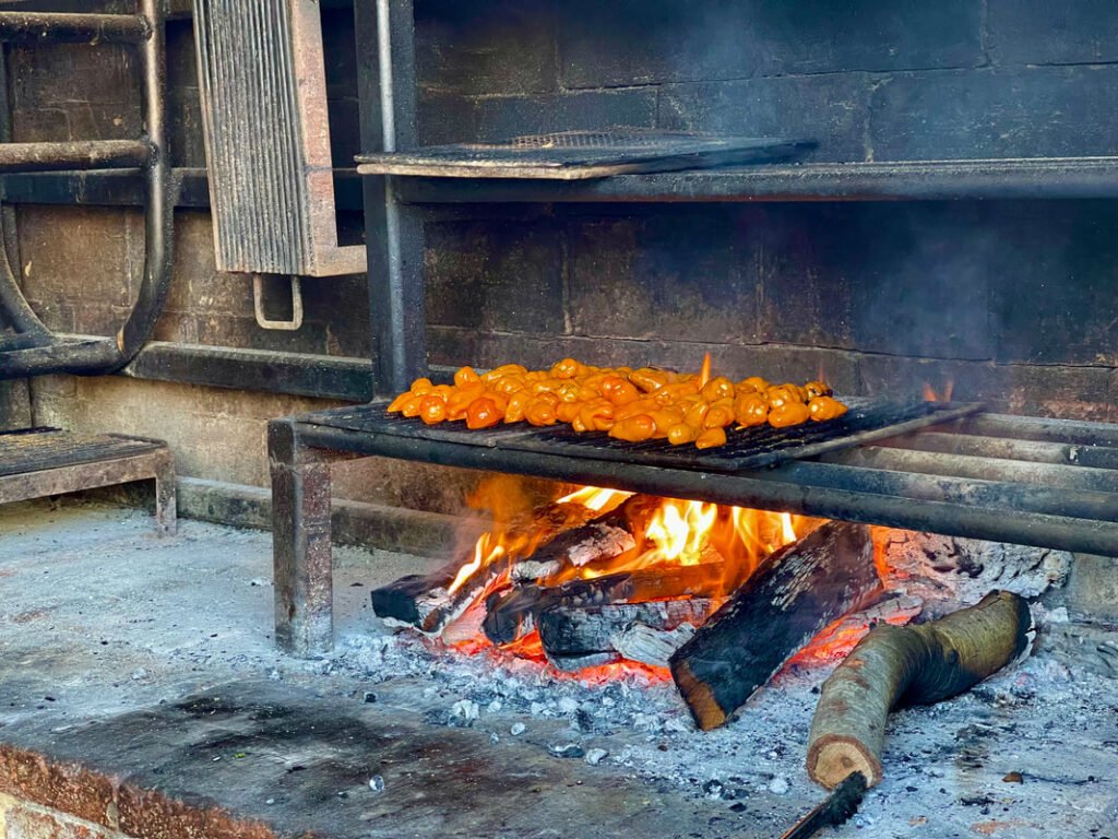 A rustic outdoor grill roasts vibrant orange peppers over an open flame, perfectly capturing the essence of Mexico wine tours.