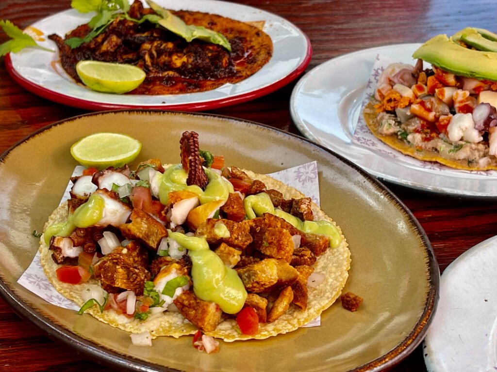 Three different types of Mexican dishes on plates. The foreground dish is a taco or tostada with diced meat, onions, tomatoes, cilantro, and green sauce. In the background are dishes with dark red sauce and avocado slices, and another with diced seafood and toppings. The presentation is colorful and appetizing.