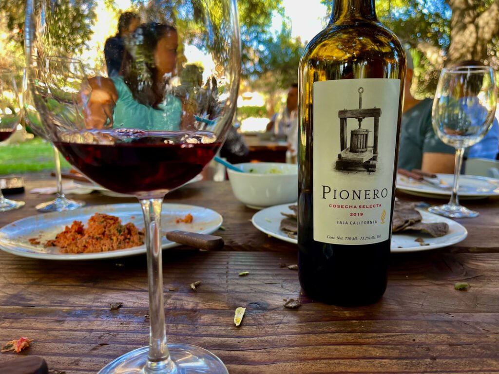Close-up of a "Pionero" wine bottle and a glass of red wine on a wooden table.