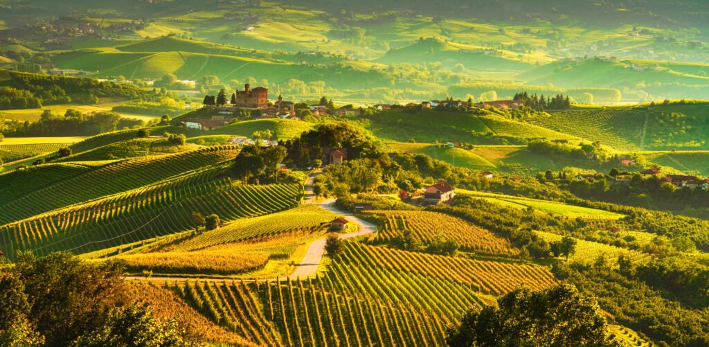 The breathtaking panoramic shot of the Langhe hills and vineyards.