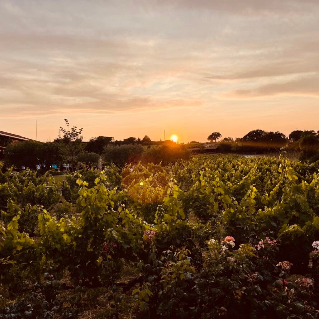Catalan Cuisine: A Private Food & Wine Journey