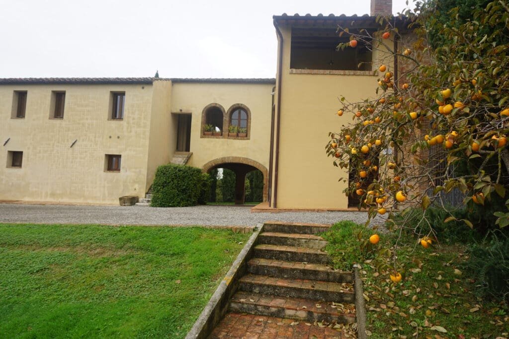 The Architect of Brunello: Why Altesino Is the Best Winery Visit in Montalcino