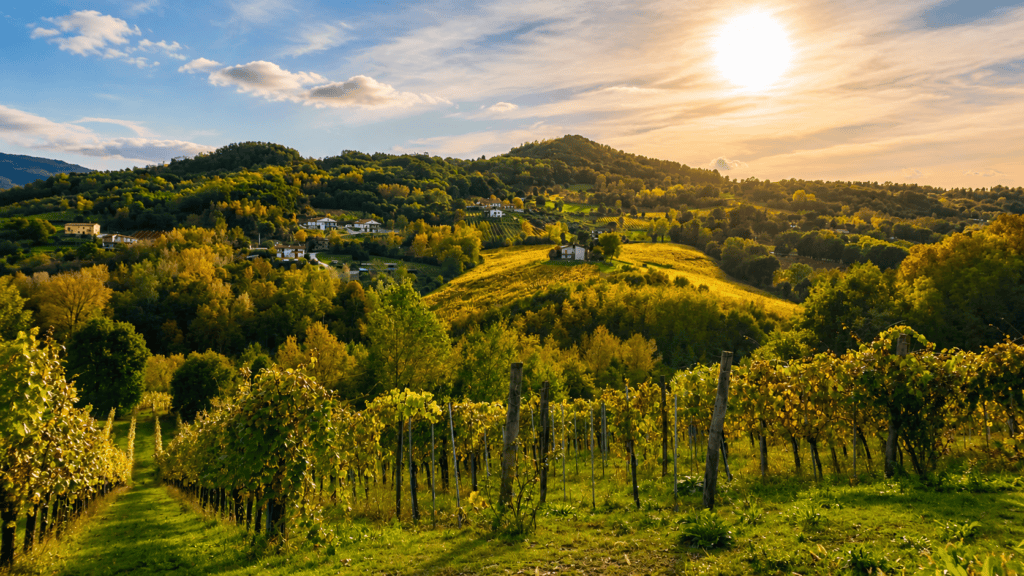 Campania Geography: From Irpinia to the Amalfi Coast