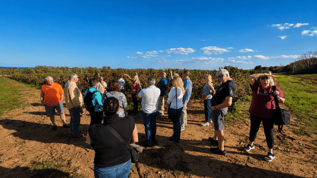 What Is Considered Small Group Travel? Why Group Size Matters