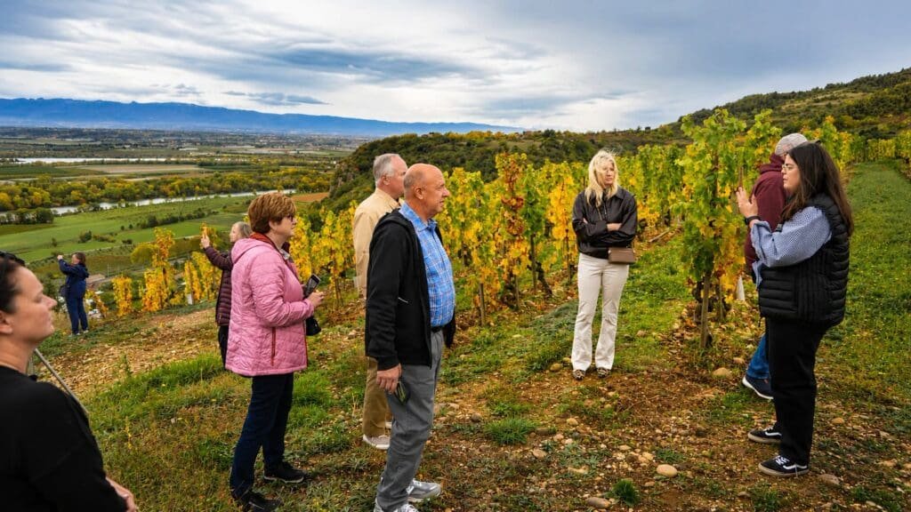 How Much Does an Italian Food and Wine Tour Actually Cost?