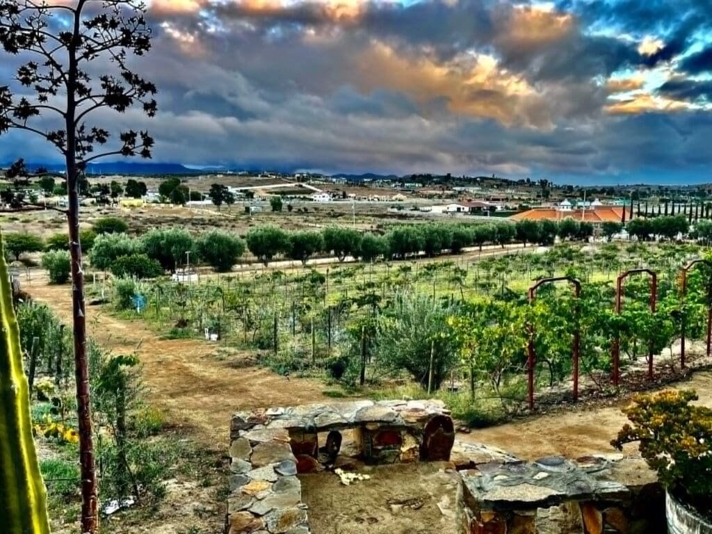 San Diego to Valle de Guadalupe: My Preferred Route & Transportation Guide