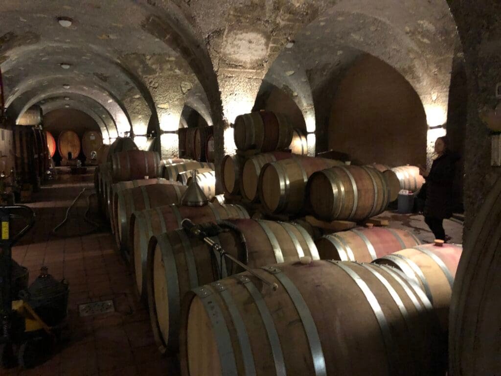 Corte Pavone Winery: Biodynamic Montalcino Through a Chef’s Eyes