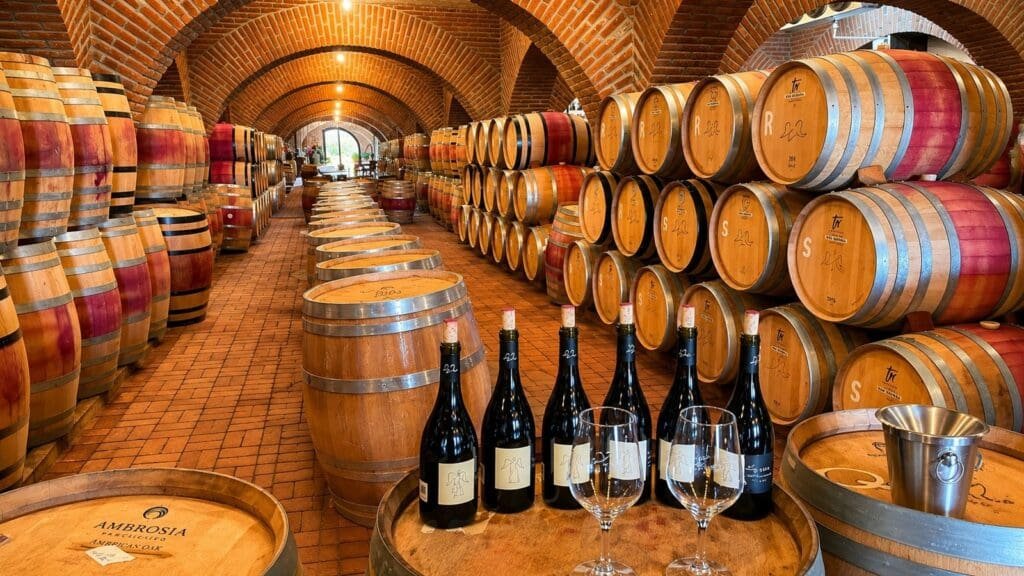 What a Private Cellar Visit in Valle de Guadalupe Is Really Like